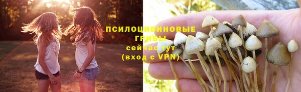 spice Богородицк