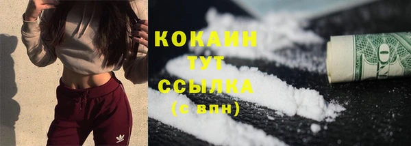 spice Богородицк