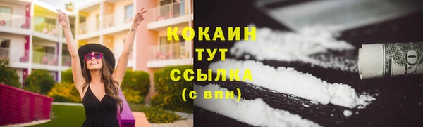 spice Богородицк