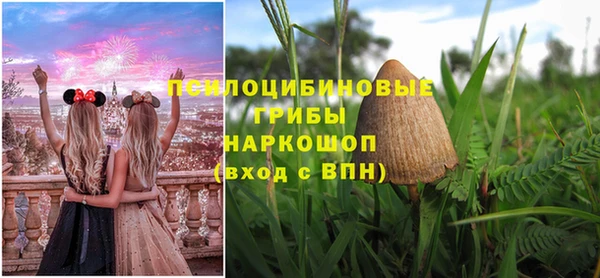 МДМА Богданович