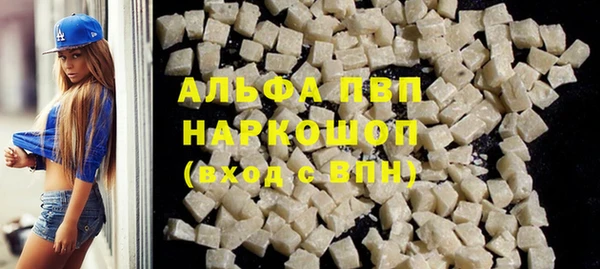 spice Богородицк