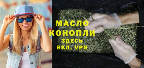 spice Богородицк