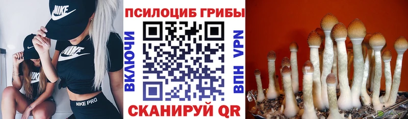 Галлюциногенные грибы MAGIC MUSHROOMS Оренбург